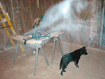 "Ghost" in a home being rehabbed